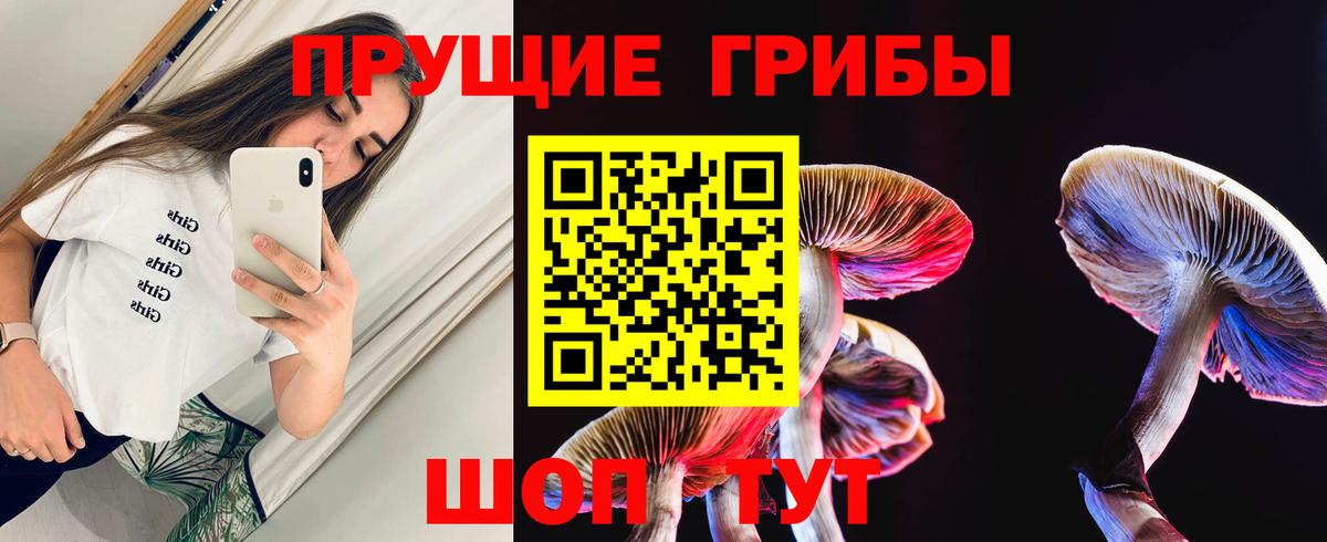 Псилоцибиновые грибы GOLDEN TEACHER Вольск
