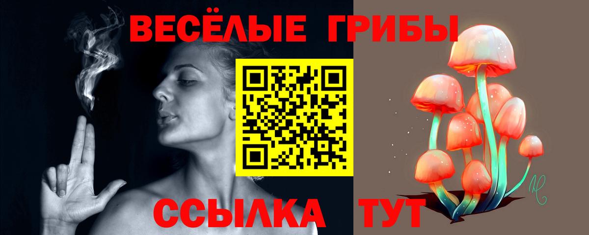 Псилоцибиновые грибы прущие грибы  Вход с VPN  Вольск 